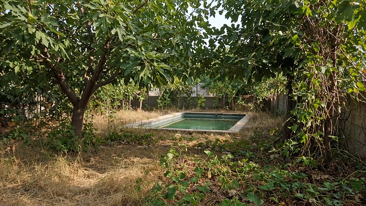 Bilgəh bağ evi — detal